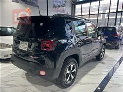 جيب رينيجيد